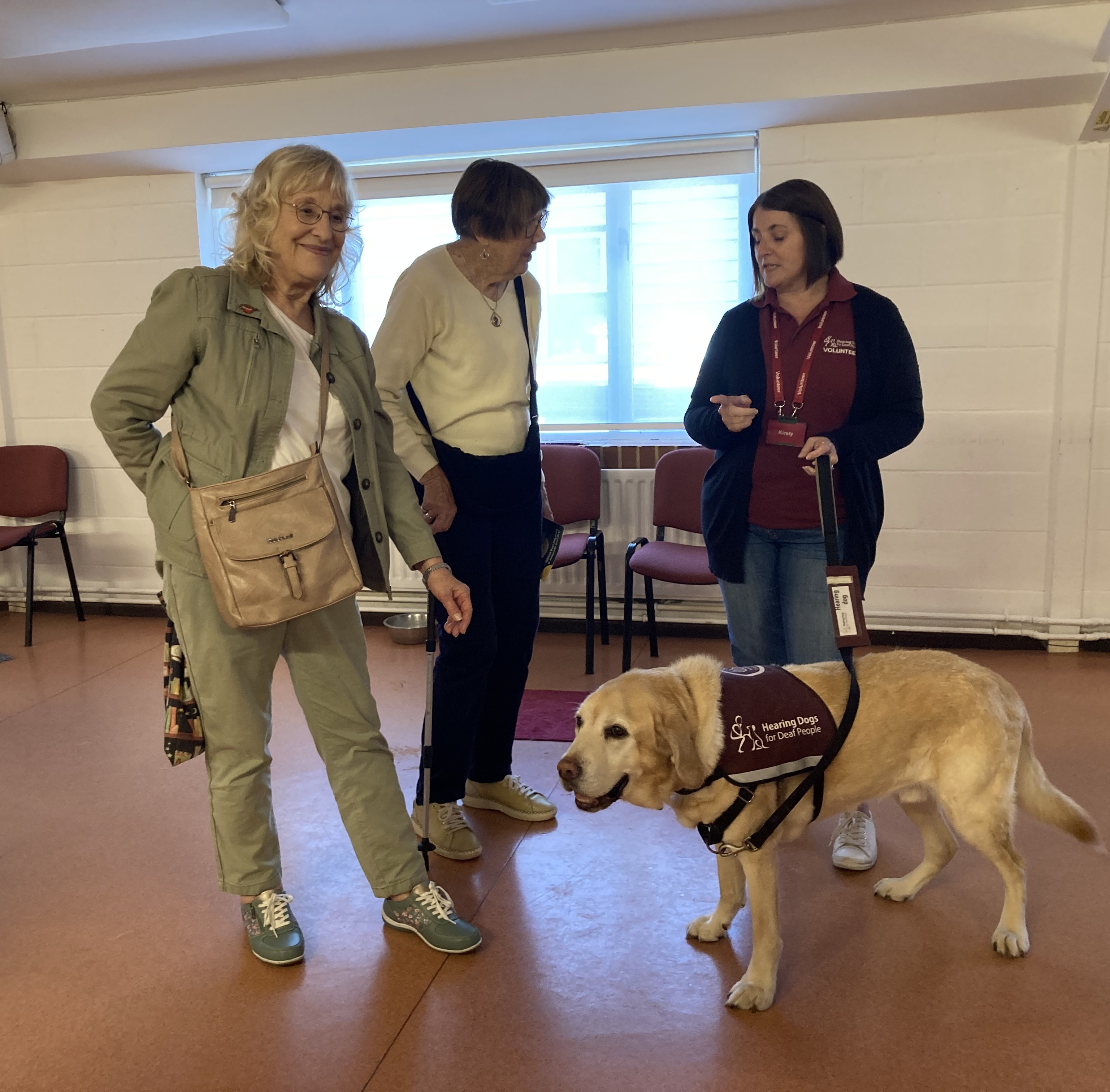 Hearing Dogs